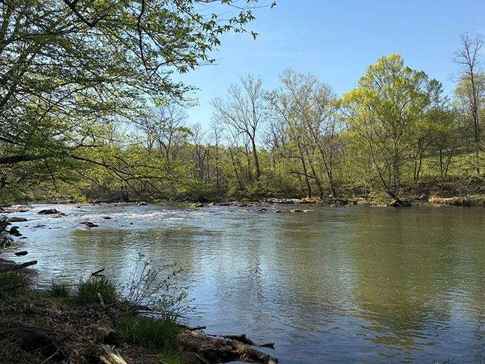 a river bank